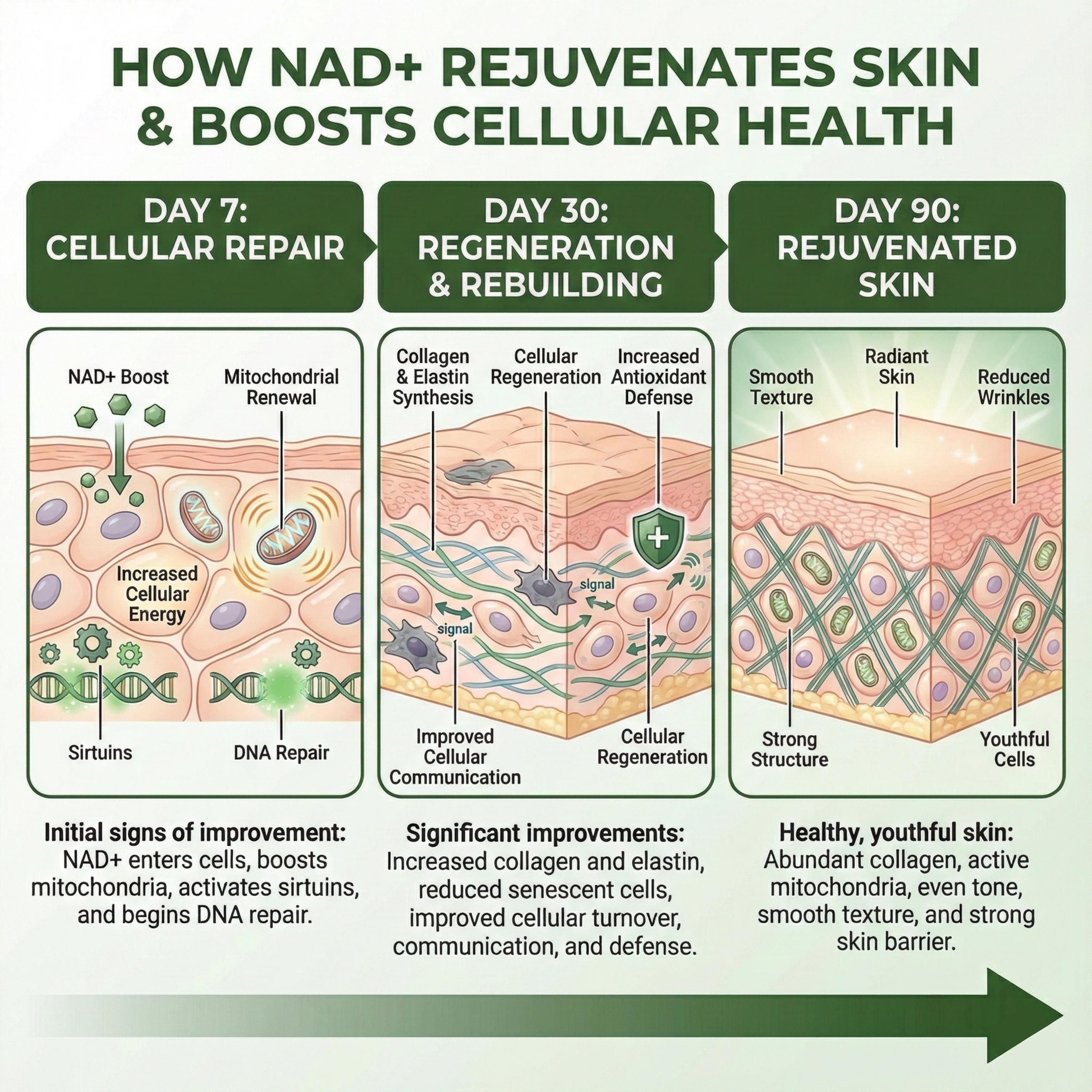 NAD+ Advanced with Resveratrol