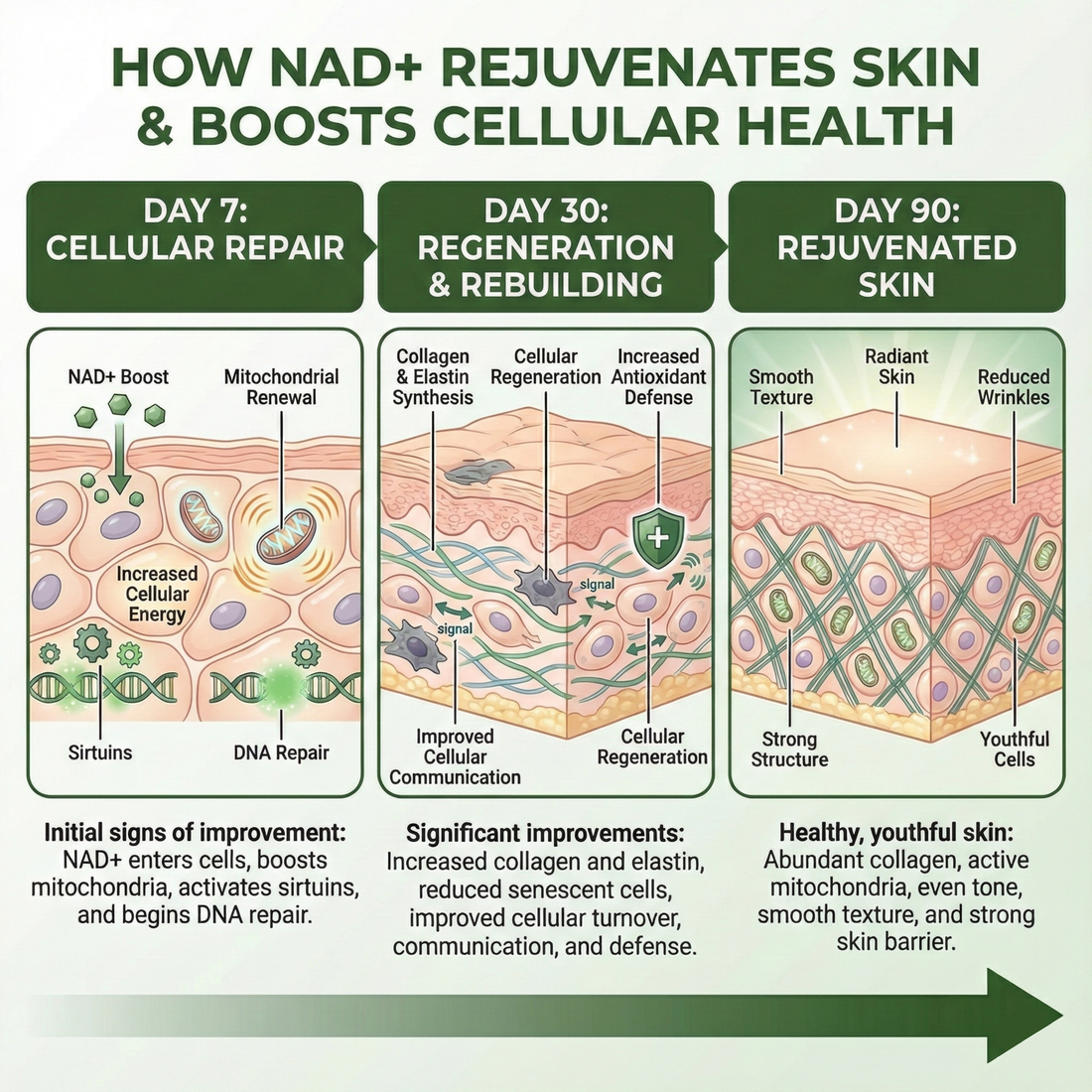 NAD+ Advanced with Resveratrol